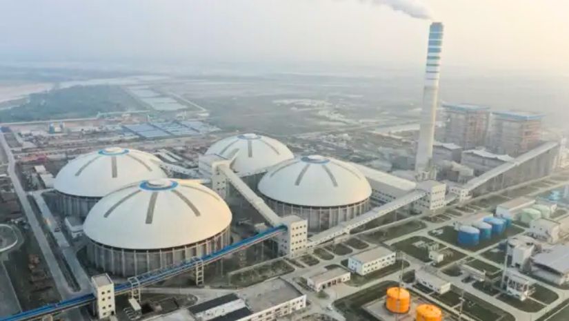 পায়রা