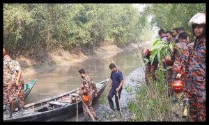 সুন্দরবন