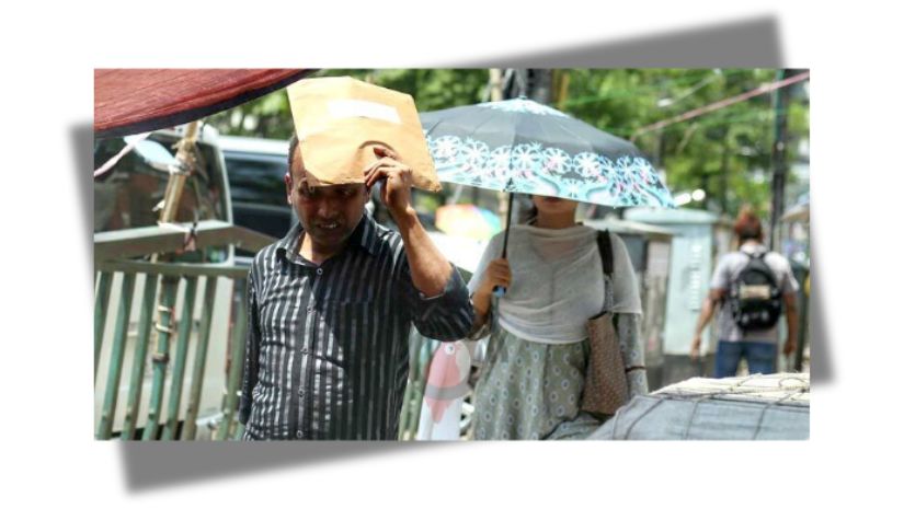 তাপপ্রবাহ
