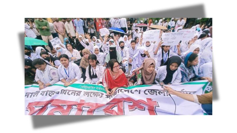 পলিটেকনিক