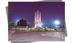 জাবি