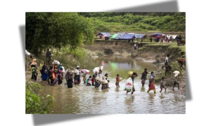 রোহিঙ্গা 