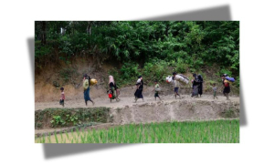 রোহিঙ্গা 