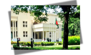 বিএনপি