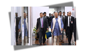 প্রধান উপদেষ্টা