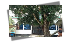 ইমাম