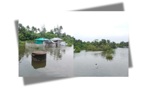 সেন্ট মার্টিন