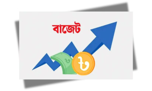 বাজেট