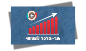 বাজেট