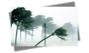 ঝড়