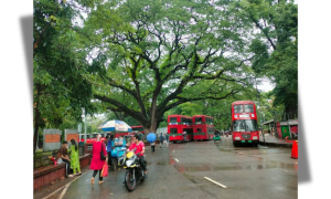 ঢাকা