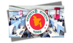 সরকারি