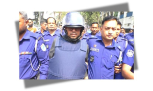 পলক