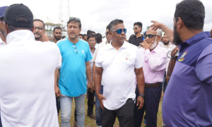বিসিবি
