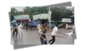 বিছা