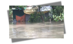 বন্যা