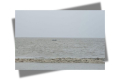 স্থবির কুয়াকাটা; বন্দরে ৩ নম্বর সতর্কতা