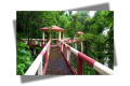 লামার সব রিসোর্ট বন্ধ ঘোষণা