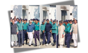 ট্রাইব্যুনাল