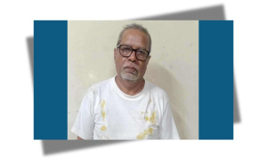 সিইসি