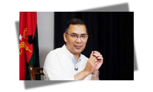 তারেক