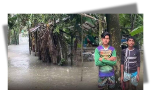 পানি