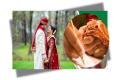 তরুণদের মধ্যে বিয়ে ও সন্তান নেওয়ার আগ্রহ কমছে