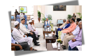 প্রধান উপদেষ্টা