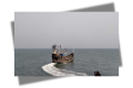১২ বাংলাদেশিকে ধরে নিয়ে গেল আরাকান আর্মি