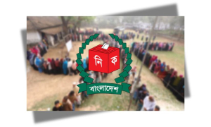নির্বাচন