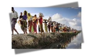 রোহিঙ্গা