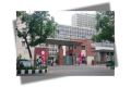 সচিবালয়ে প্রধান উপদেষ্টা