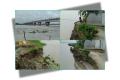তিস্তা সেতু রক্ষা বাঁধে ধস