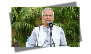 প্রধান উপদেষ্টা
