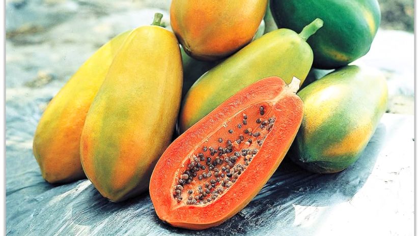 পেঁপে