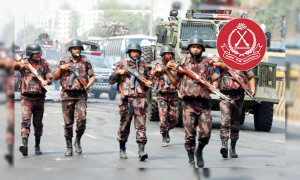 বিজিবি