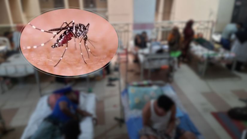 ডেঙ্গু