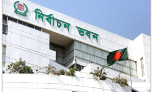 নির্বাচন