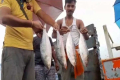 ভারতে পৌঁছাল বাংলাদেশের ইলিশ