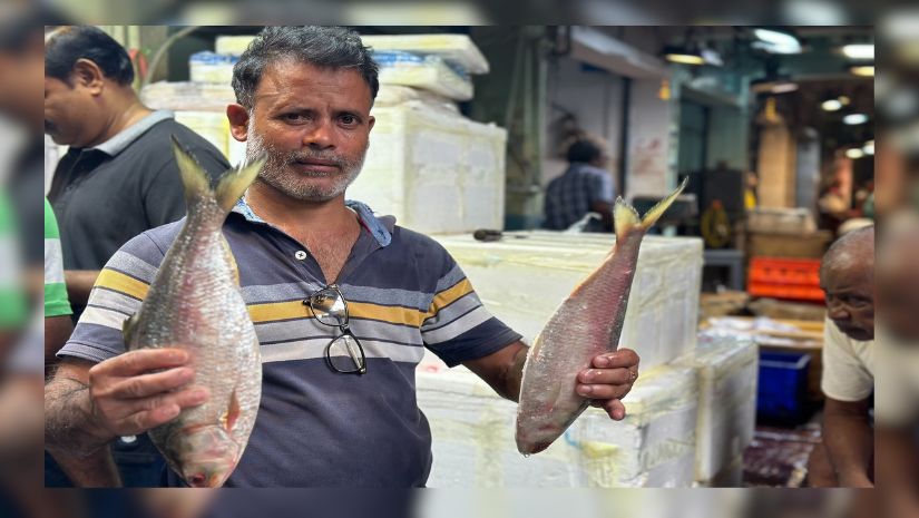 ইলিশ