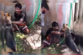 চোর সন্দেহে কুকুর লেলিয়ে দিল জনতা