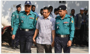 মামুন