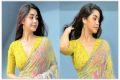 মোহনীয় তাহসানপত্নী