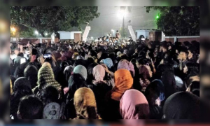 পোষ্যকোটা স্থগিত