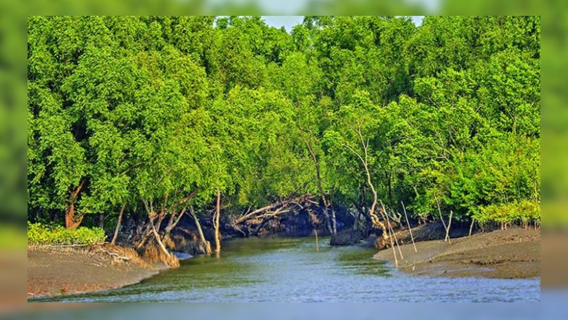 সুন্দরবন