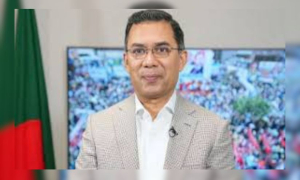 তারেক