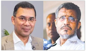 তারেক