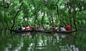 দিবস