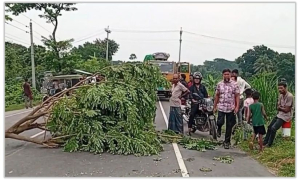 বিক্ষোভ