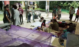 উপাচার্য